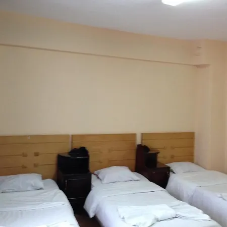 Turna Family House איסטמבול